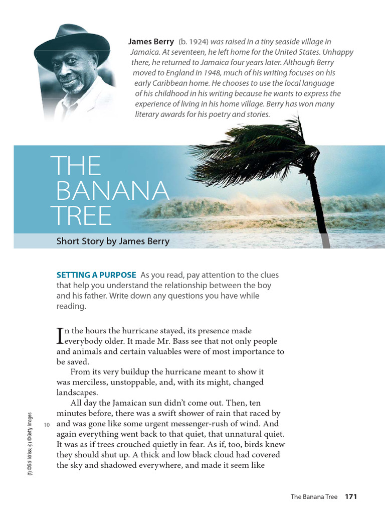 Fiction - The Banana Tree (James Berry) | PDF