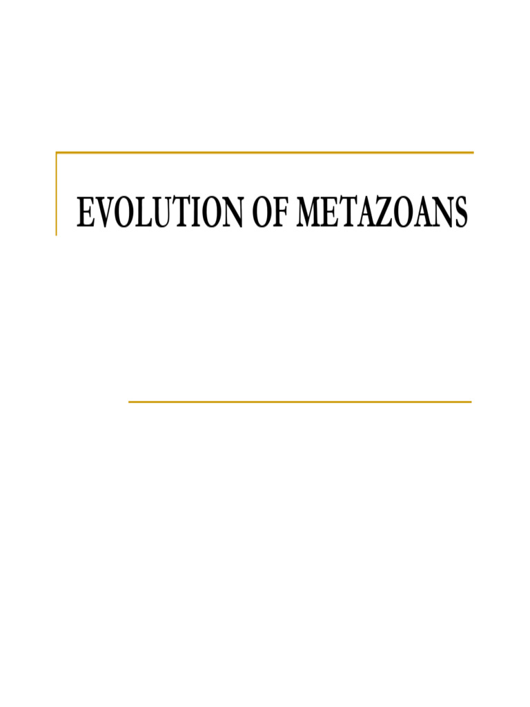 L2 | PDF | Protozoa | Biology