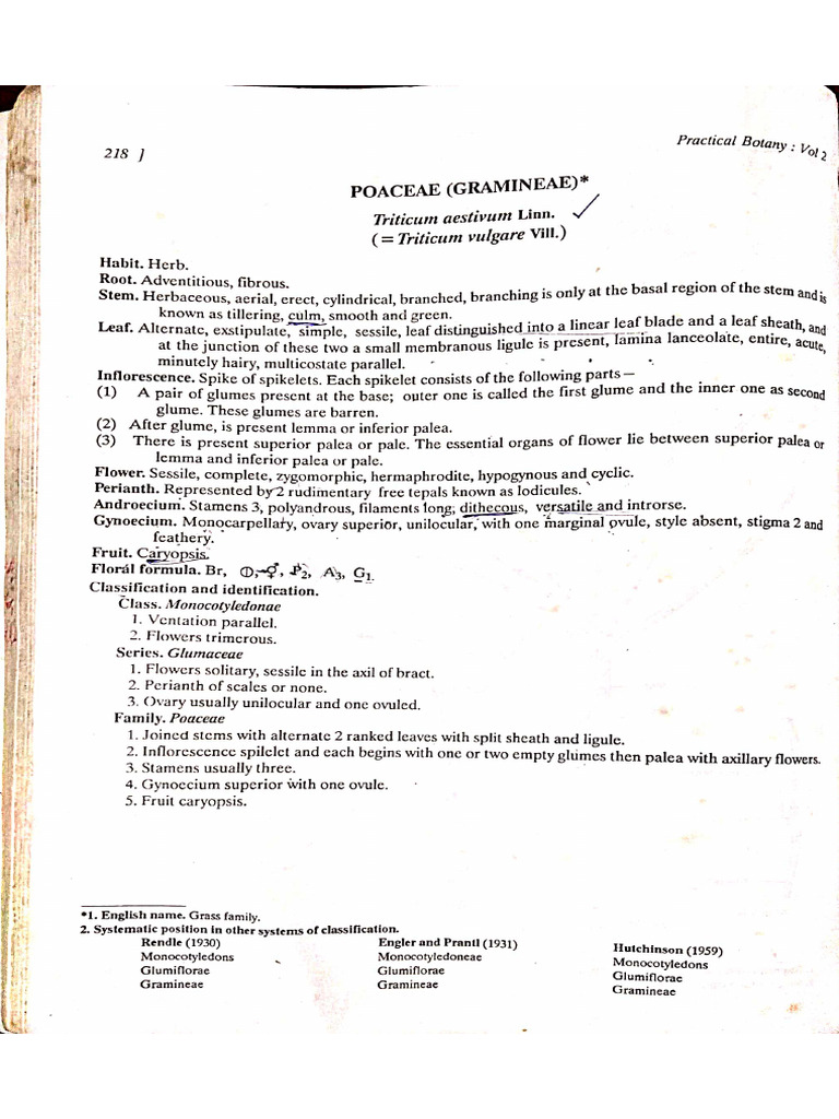 Plant Systematic (Practical) | PDF