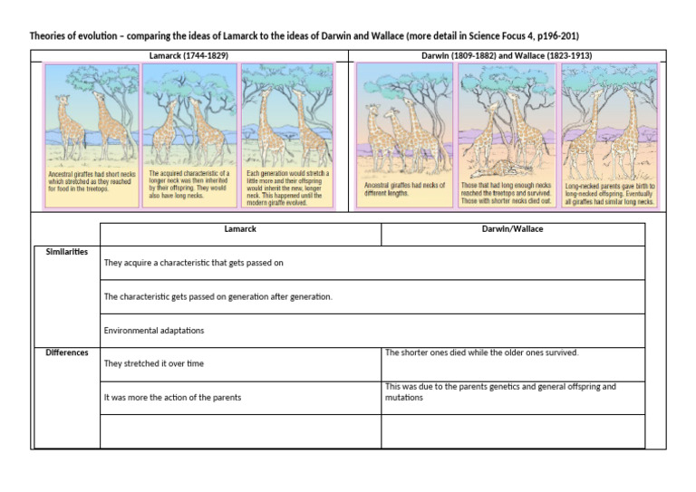 10.1 Theories of Evolution Comparison Activity | PDF