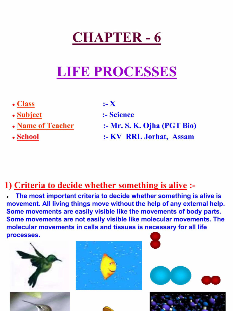 Life Process | PDF