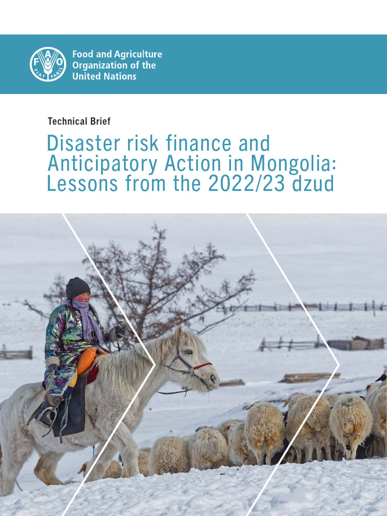 Disaster risk finance in Mangolia | PDF | Insurance | Livestock