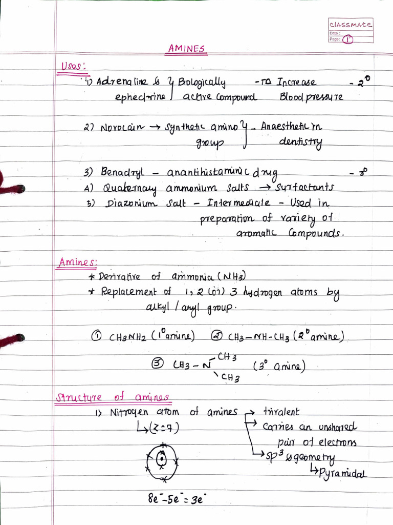 Amines Notes | PDF