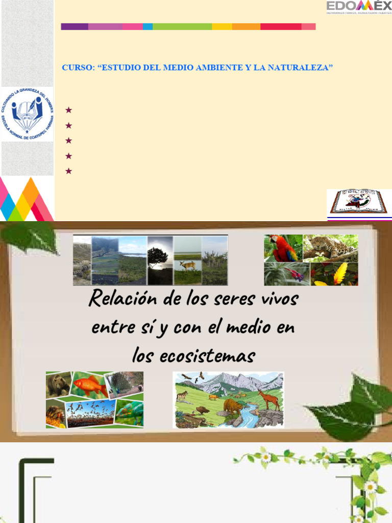 Presentación Equipo 5. Relación de Los Seres Vivos y Tipos de ...