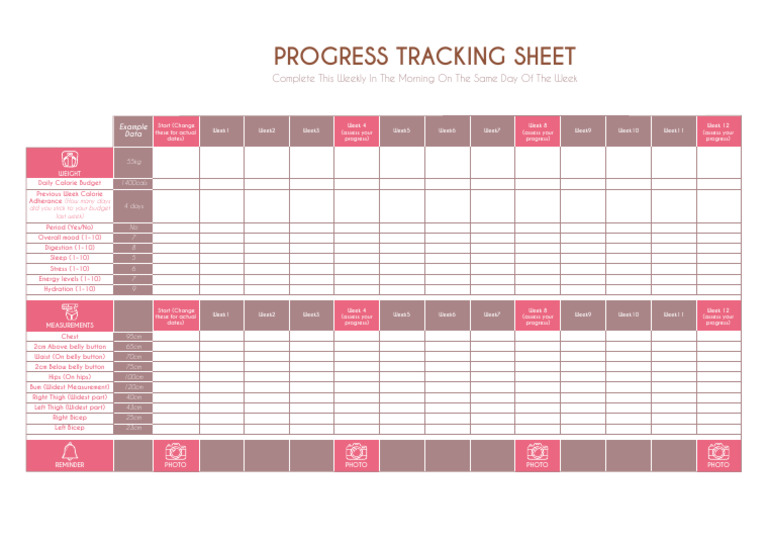 1661335935398progress Tracking Sheet | PDF | Determinants Of Health