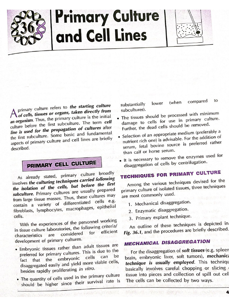 Primary Cell Culture-Sathynarayana | PDF