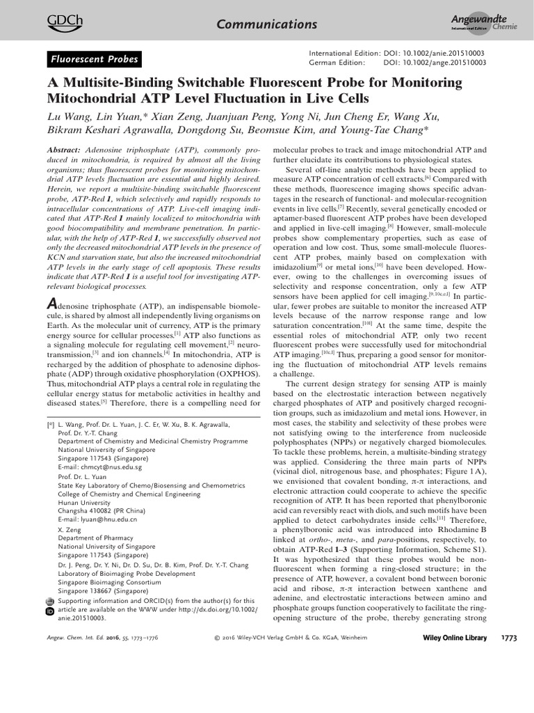 ATP in Mitochondria-Conc | PDF | Adenosine Triphosphate | Mitochondrion