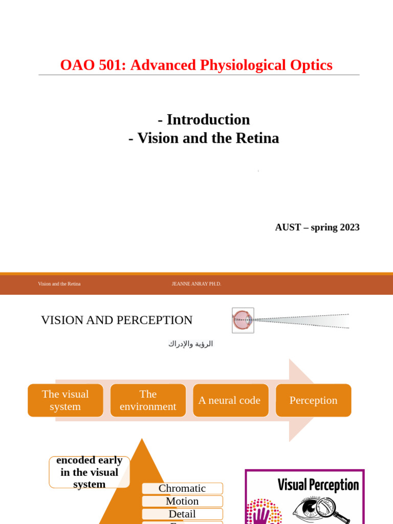 Lecture 2 JA | PDF | Retina | Visual System