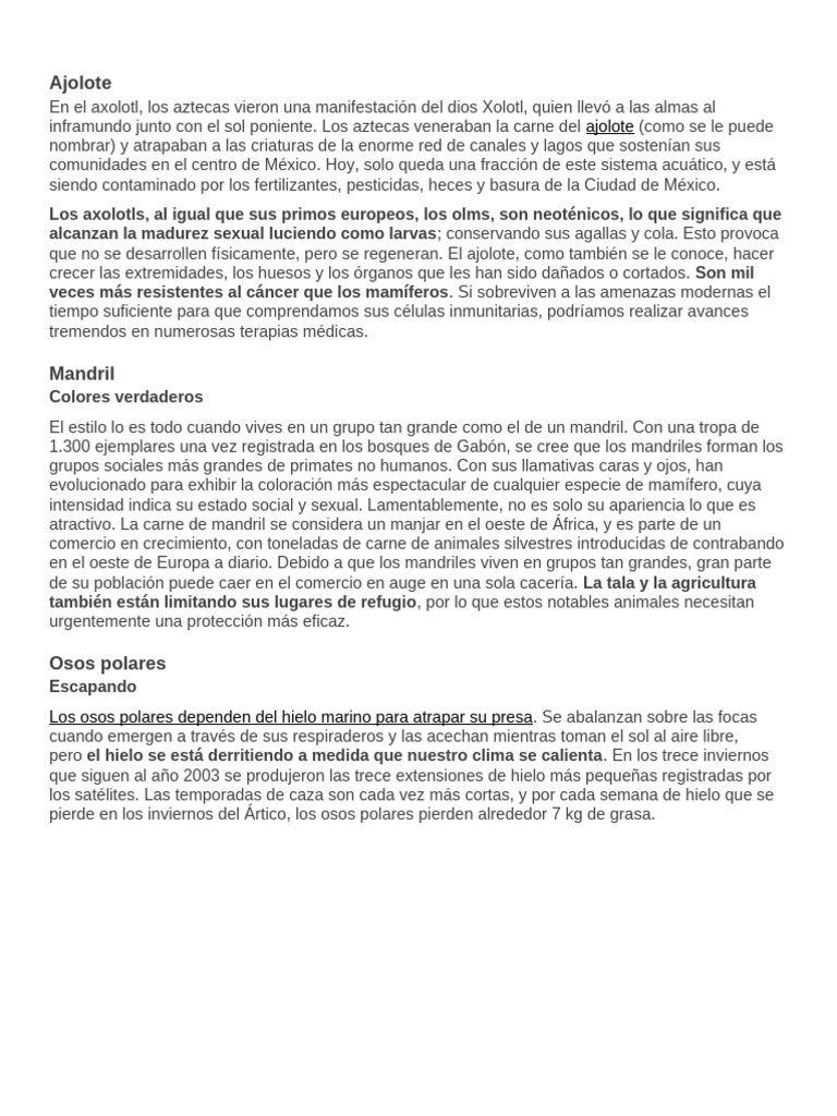 10 Especies en Peligro de Extincion | PDF | Caza | Oso polar