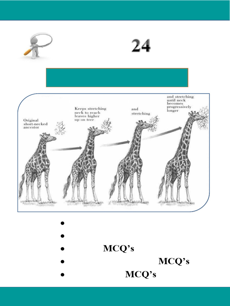 Chapter 24 Biology 2nd Year | PDF | Evolution | Natural Selection