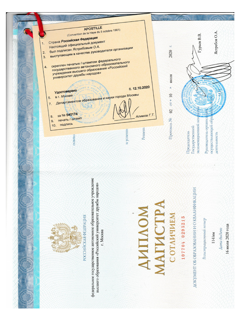 Diploma de Maestria | PDF