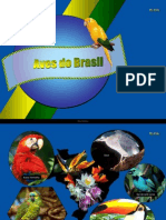 Aves Do Brasil