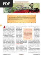 o Video Educativo