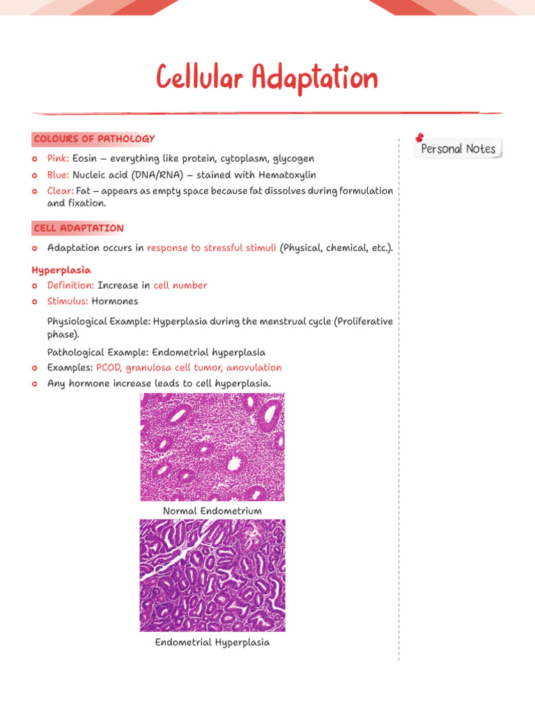 Pathology Rapid Revision Notes 2nd Year Mbbs | PDF | Genetic Disorder ...
