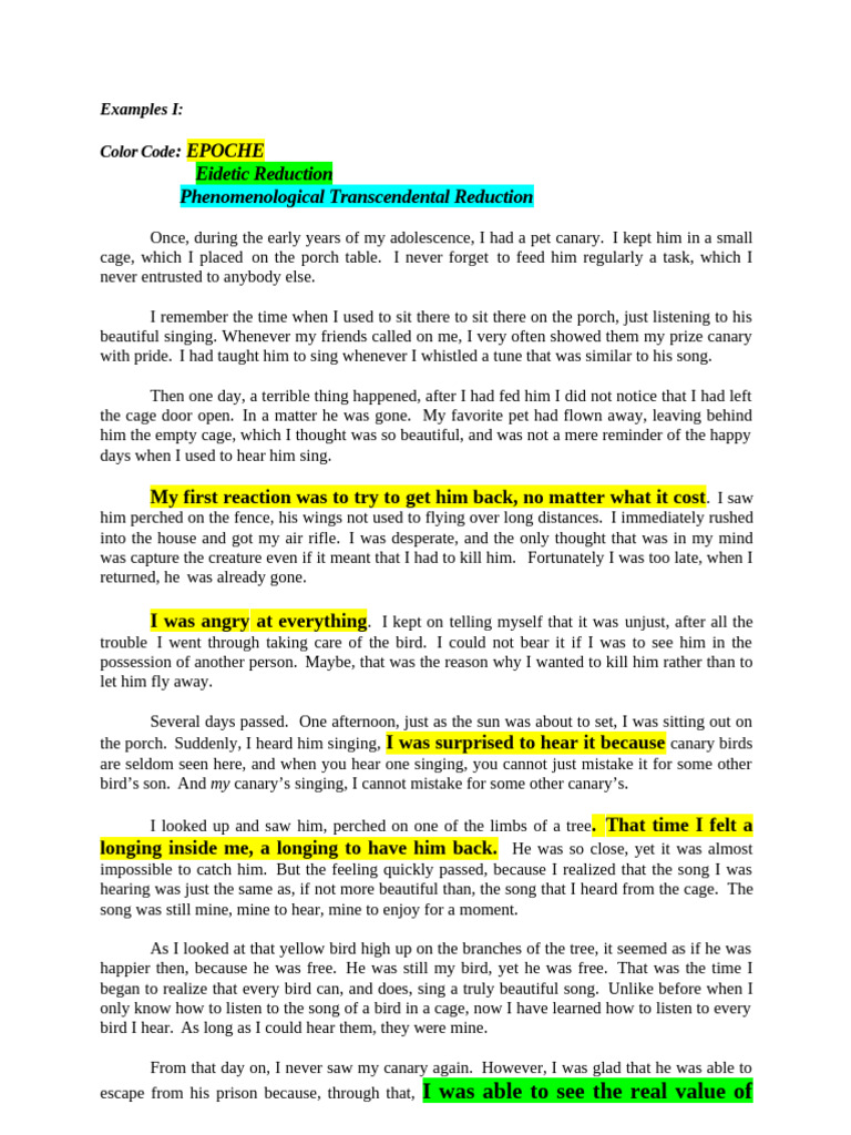 SAMPLE Phenomenological Reflection | PDF | Beauty