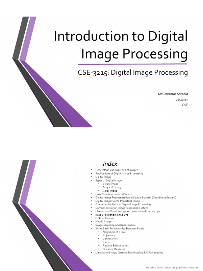Introduction To Digital Image Processing - MNS - Students - C | PDF