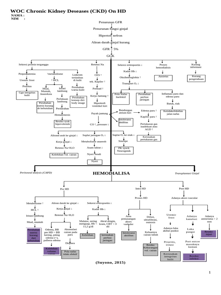WOC CKD On HD | PDF