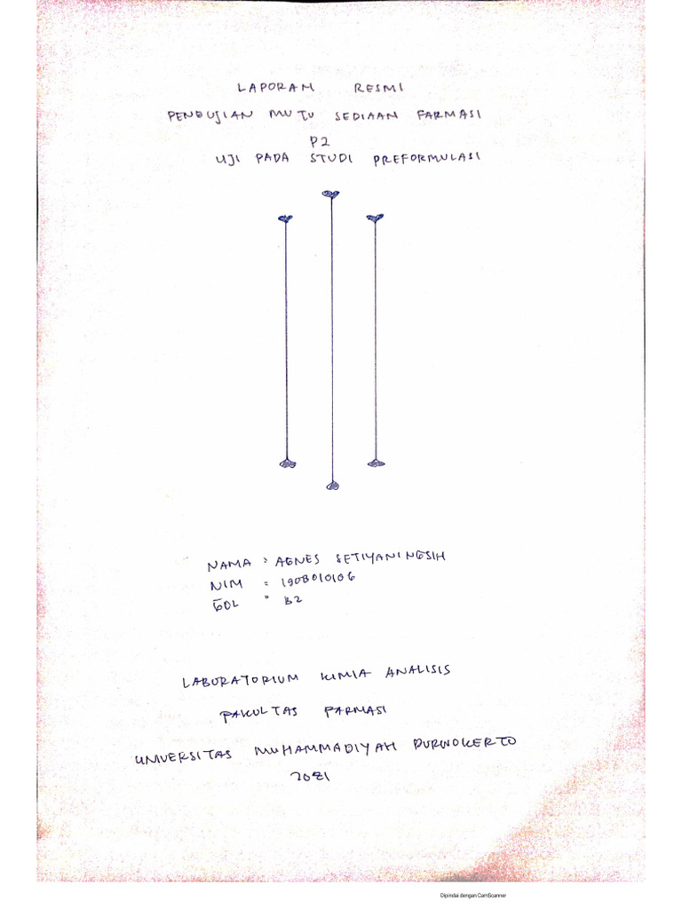WS P2 1908010106 Agnes Setiyaningsih B2 | PDF