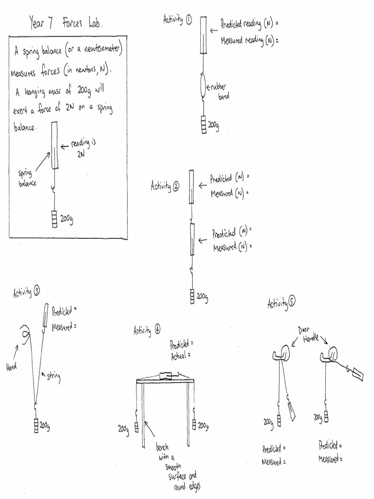 1. Year 7 Physics Lab - Predicting Forces | PDF