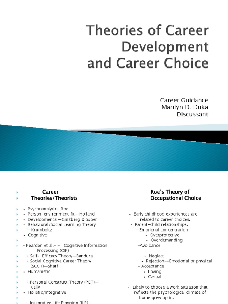 Career Guidance Report | PDF | Self Efficacy | Thought