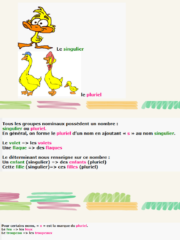Singulier Et Pluriel | PDF