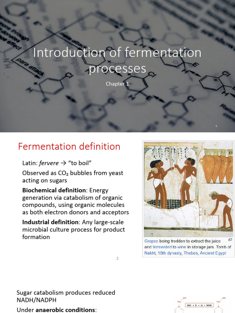 Chapter 1 - Introduction of Fermentation | PDF | Fermentation ...
