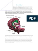 Sistema Límbico y Reticular