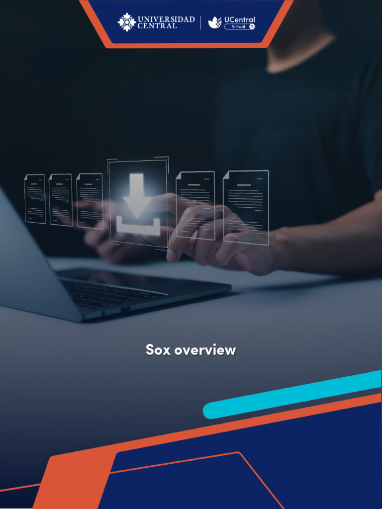 Descargable Sox Overview | PDF | Business | Economias