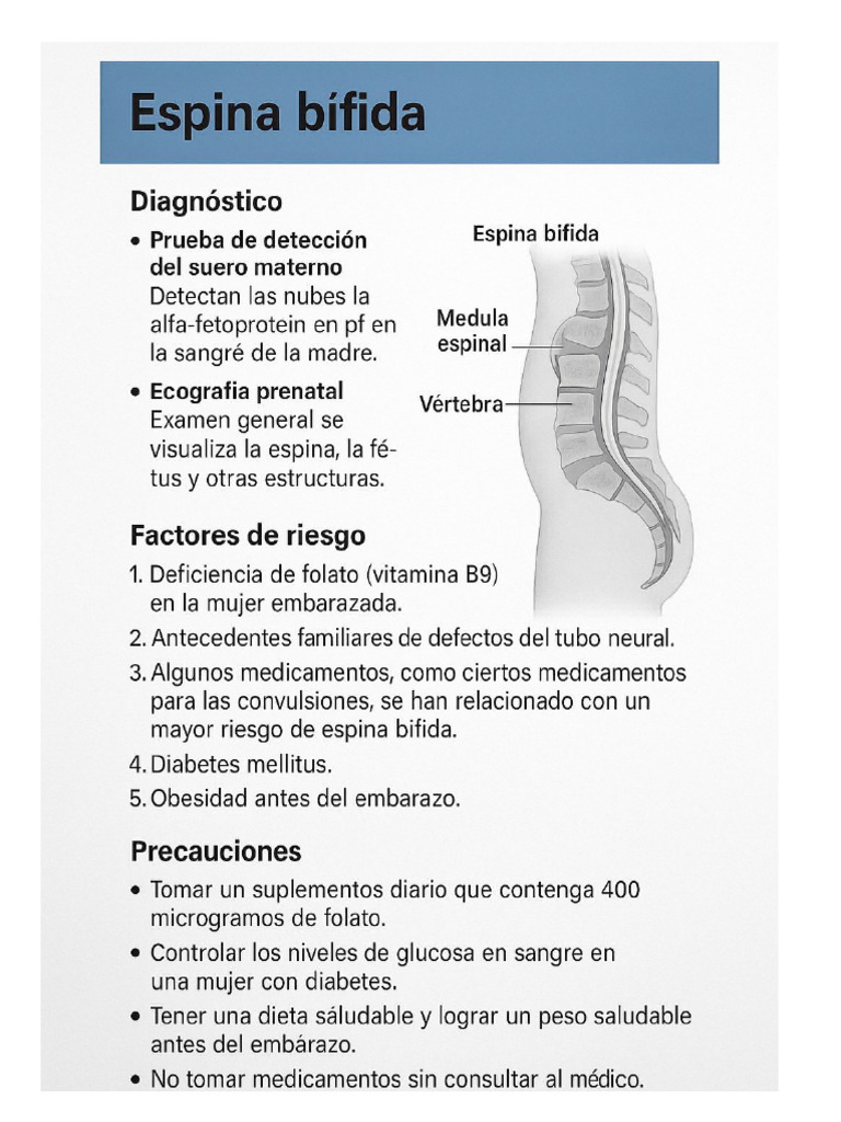 Espina Bifida | PDF