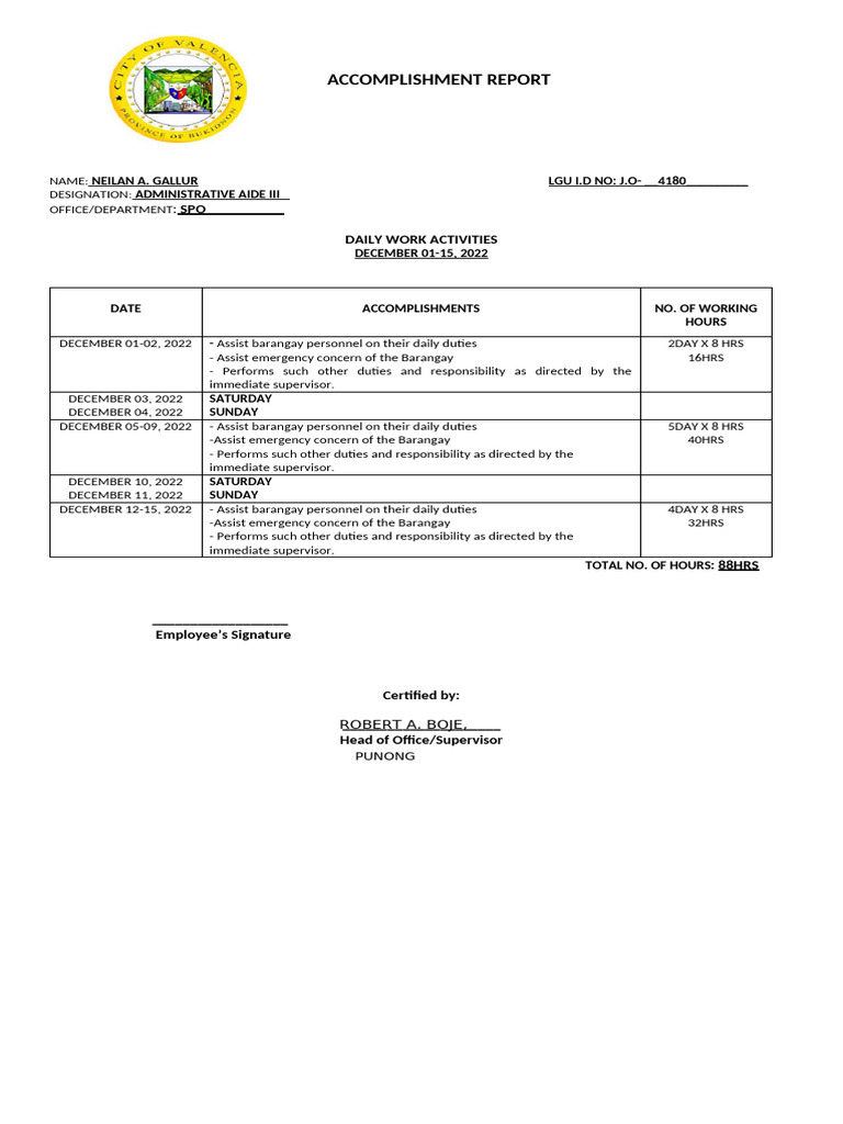 Accomplishment Neilan Example | PDF