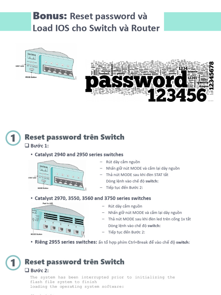 Bonus - Reset Password and Load IOS | PDF