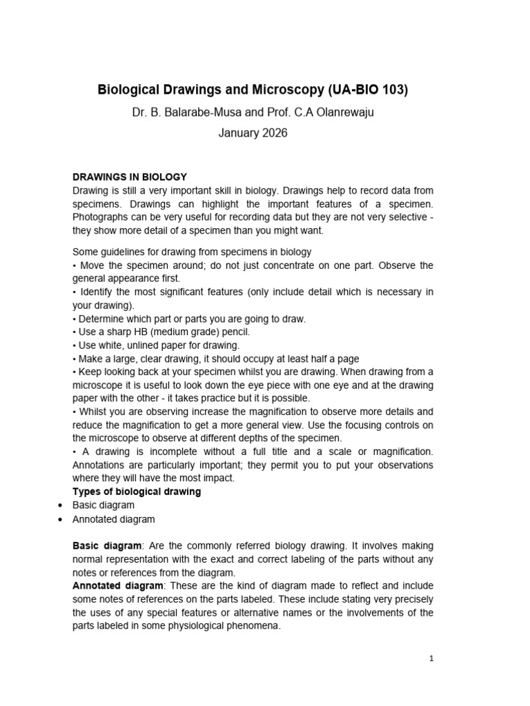 Biology Drawing and Microscopy - Stdversionone | PDF | Microscope ...