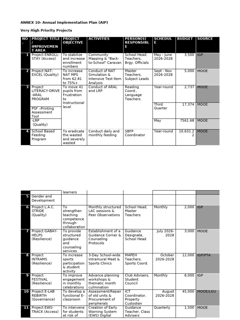 AIP and Financial Plan | PDF