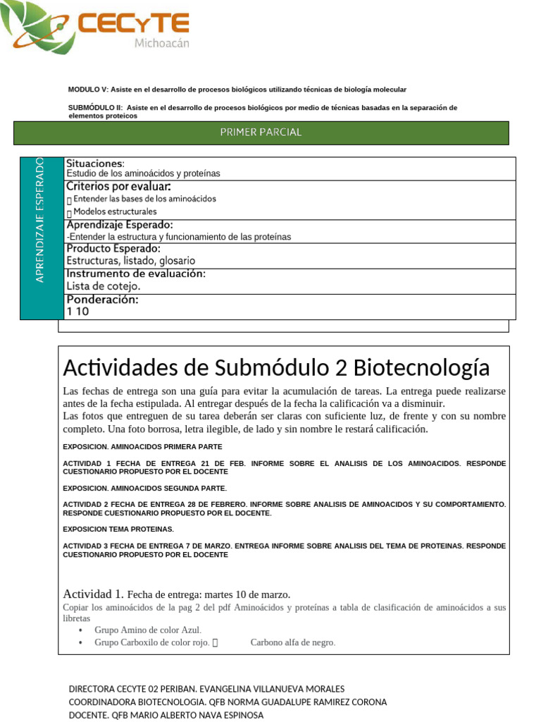 Eca Modulo v Submodulo 2 | PDF | Aminoácidos | Proteínas