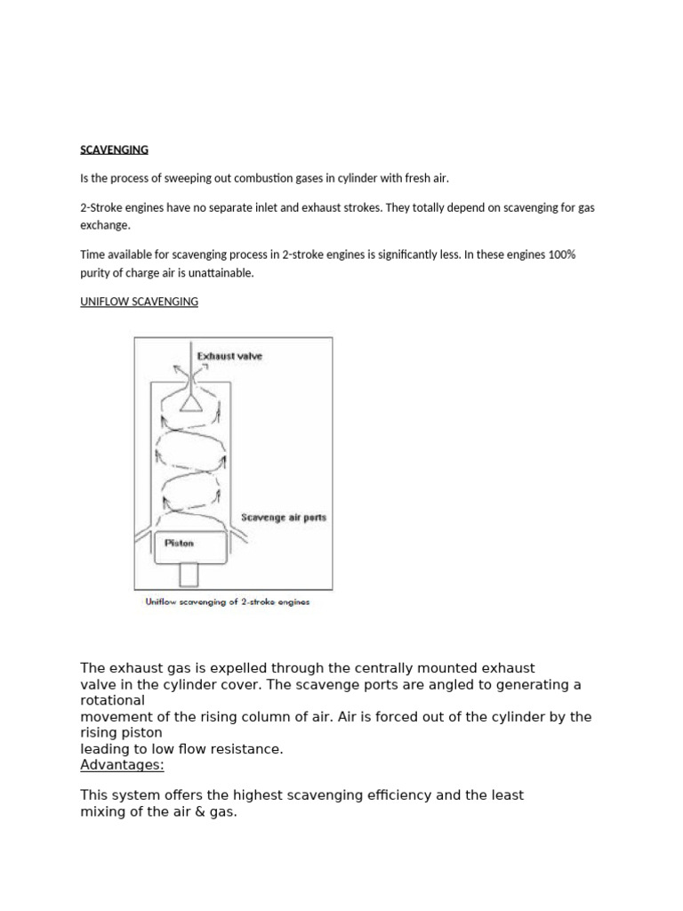Scavenging Types | PDF