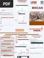 Postulación a Becas: Guía para Directores | PDF | Informática | Software
