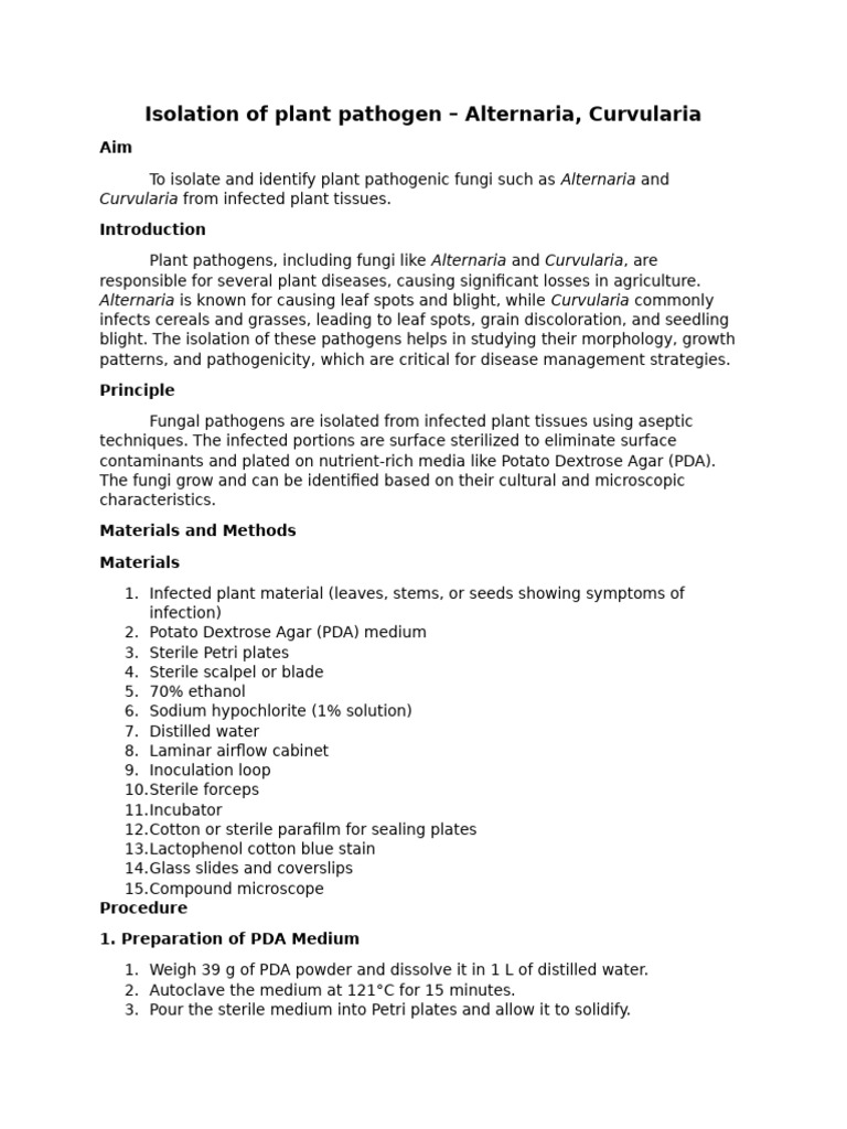 Isolation of Plant Pathogen - Alternaria, Curvularia | PDF | Fungus ...