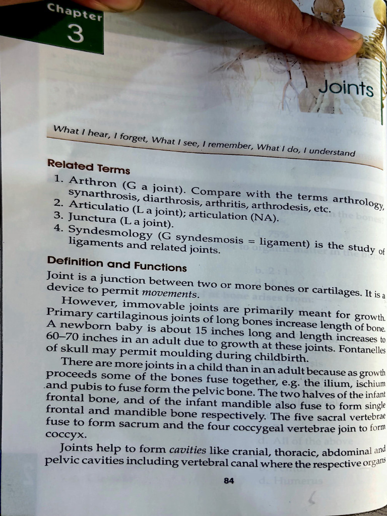 Joints | PDF