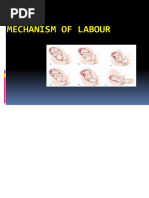 Mechanism of Labour in LOA Position | PDF | Pelvis | Anatomical Terms ...