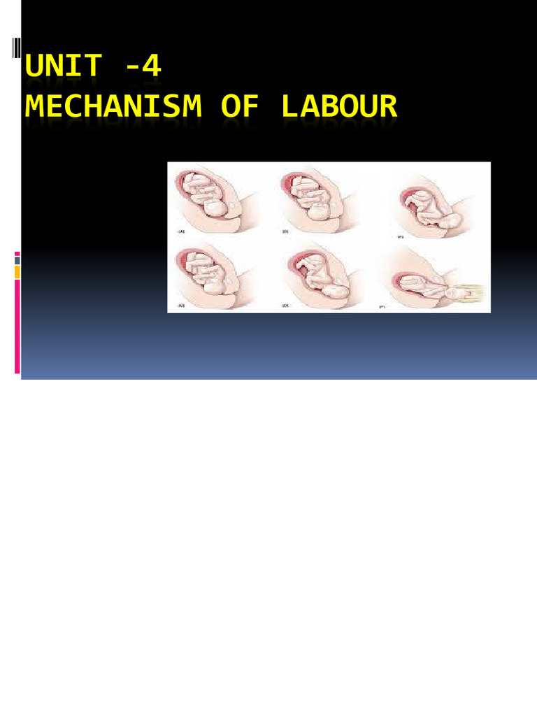1mechanism of Labour | PDF | Pelvis | Anatomical Terms Of Motion