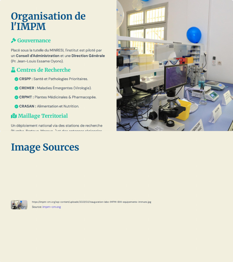 Organisation de l'IMPM | PDF