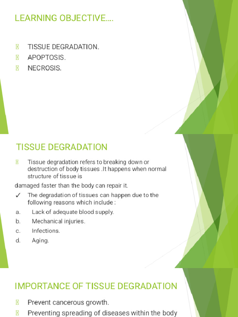 Tissue Degradation | PDF