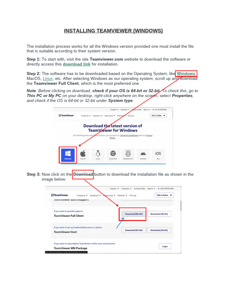 Installing TeamViewer | PDF