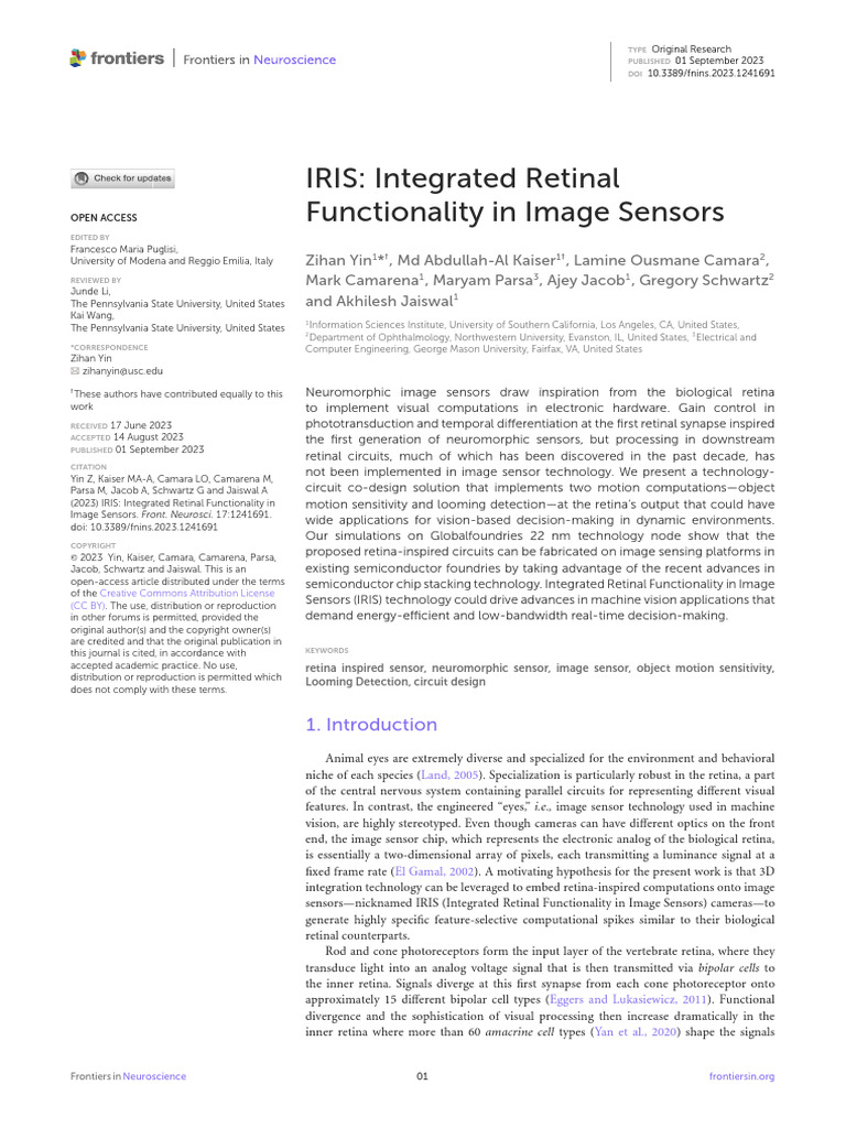 fnins-17-1241691 | PDF | Retina | Bipolar Junction Transistor