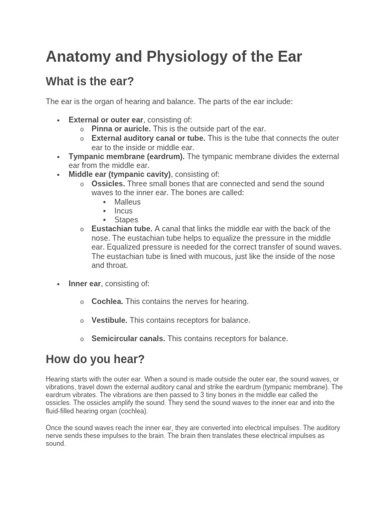Anatomy and Physiology of the Ear | PDF | Ear | Human Nose