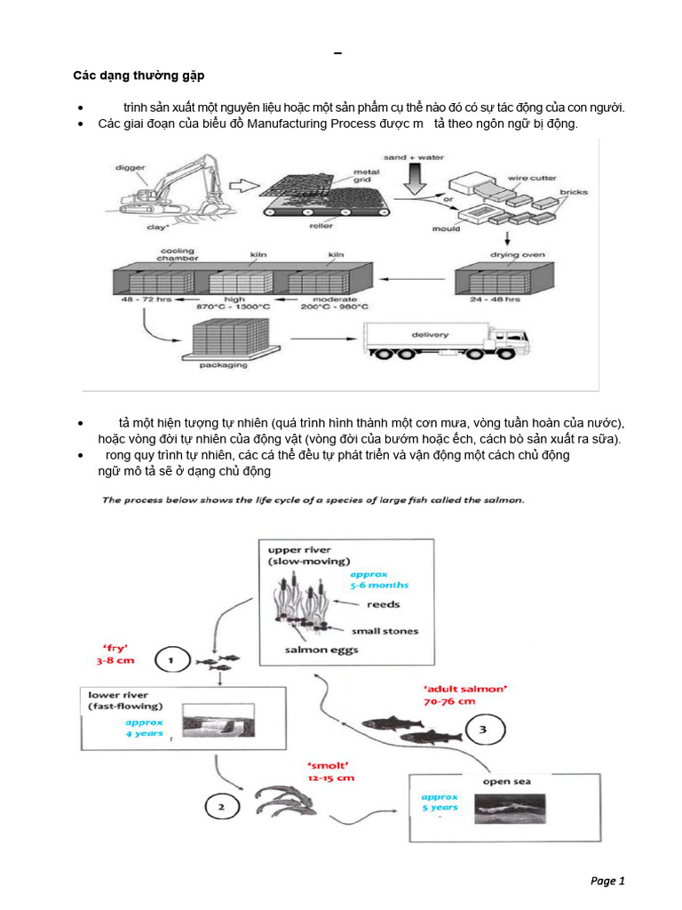 WRI TASK 1 - Man-Made Process | PDF