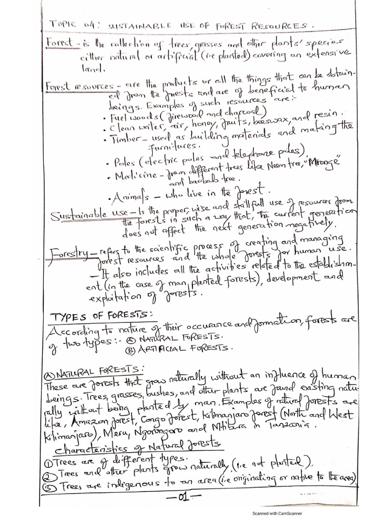Notes - Geography Form 2 | PDF