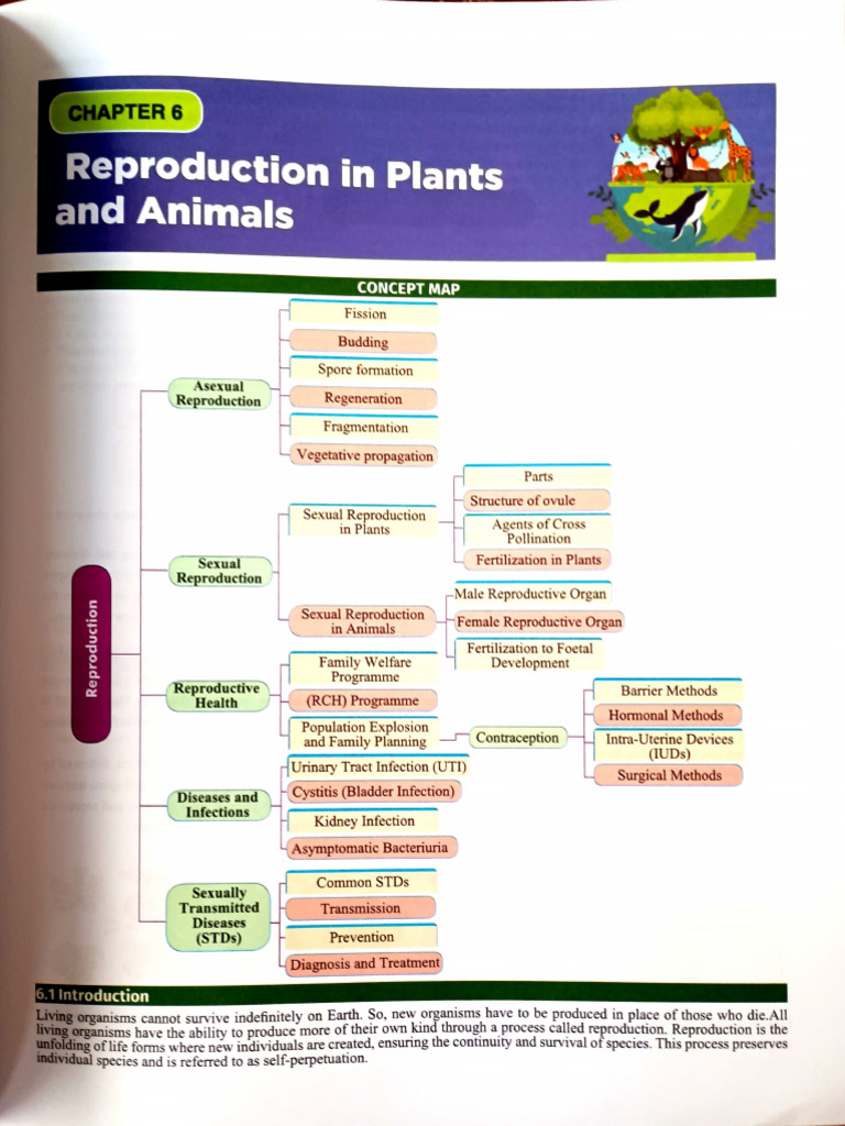 Reproduction in Plants and Animals | PDF