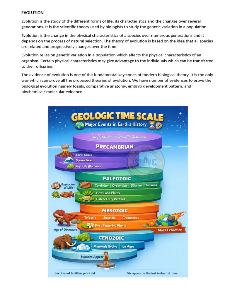 Evolution Notes (3) | PDF | Evolution | Homology (Biology)
