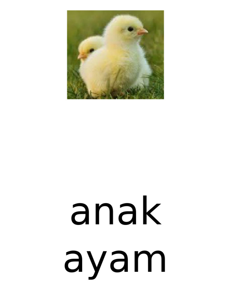 Fonik Abc | PDF